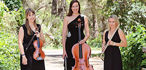 String Quartets